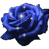 rosa blu